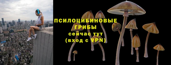 МДПВ Зерноград