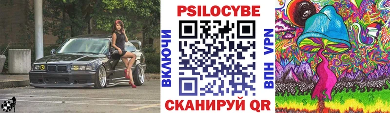 Купить  Минеральные Воды  Галлюциногенные грибы Psilocybe 